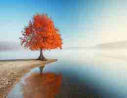 seo友‍好‌的‌前﻿端​框​架﻿